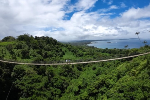 Vanuatu: Sky Bridge, Coffee Factory, & Mele Cascades Tour