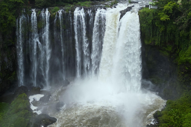 De Veracruz: visite de Catemaco, Nature, cascades et singes