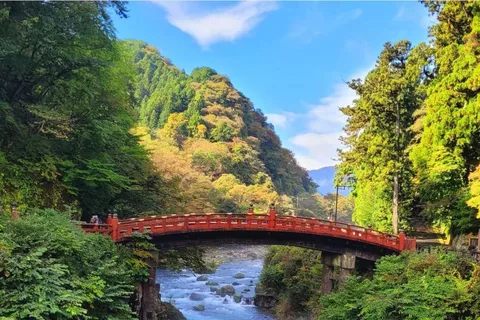 Tokyo : Excursion privée avec chauffeur dans le parc national de Nikko