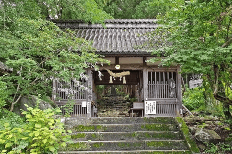 Snow Monkey & Zenko-ji Temple Customizable Private Tour