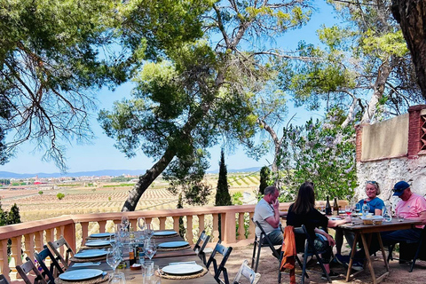 De Valência: Degustação de vinhos e visita à Cueva de Turche