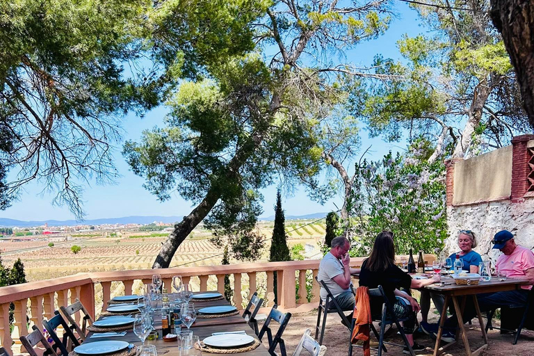 Depuis Valence : Randonnée privée à Buñol avec dégustation de vin