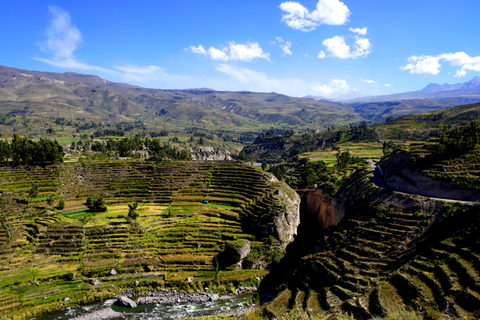 Arequipa: 2-Day Colca Canyon Tour to Puno with Homestay