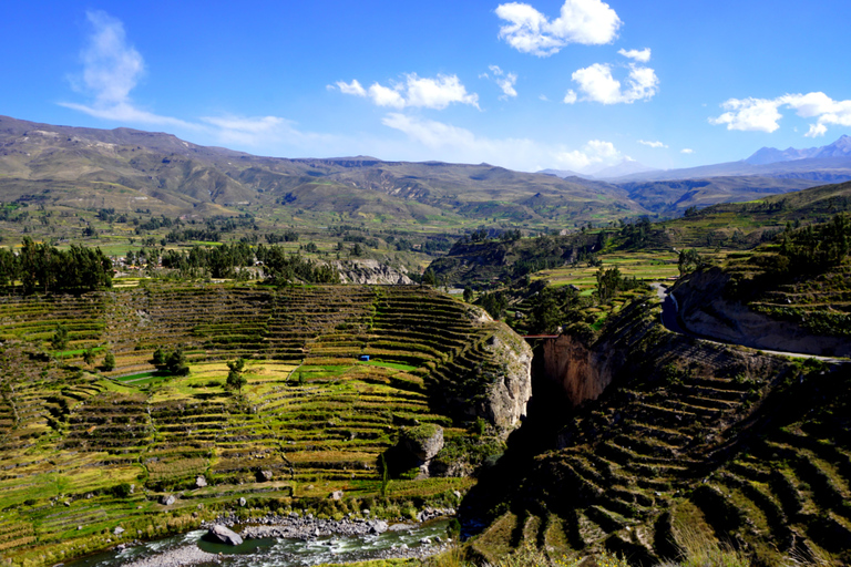 Arequipa: 2-Day Colca Canyon Tour to Puno with Homestay