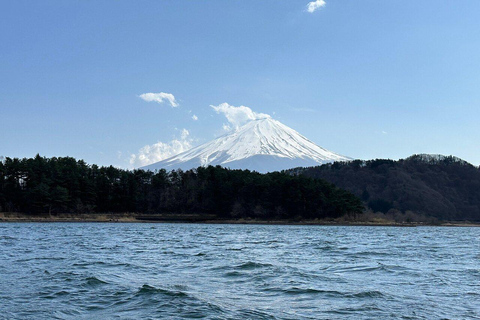 MOUNT FUJI FULL DAY CUSTOMIZED PRIVATE (ENGLISH GUIDED) TOUR