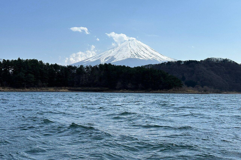 MOUNT FUJI FULL DAY CUSTOMIZED PRIVATE (ENGLISH GUIDED) TOUR