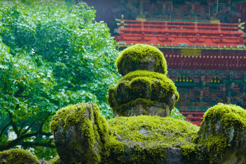 De Tóquio: Passeio turístico particular a Nikko com traslados