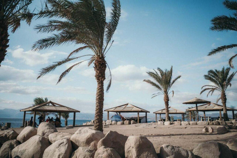 Aqaba: Red Sea Flyboard Experience