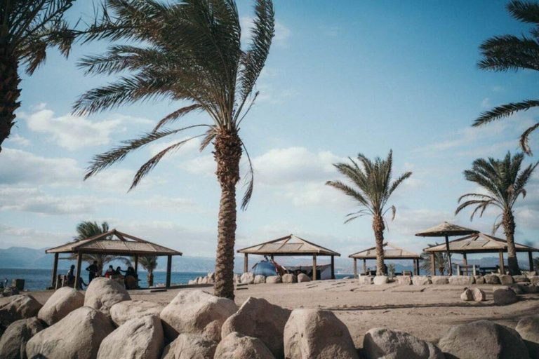 Aqaba: Red Sea Flyboard Experience