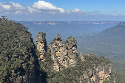 Blue Mountains: Mundo cênico, balsa, zoológico e foto de coala