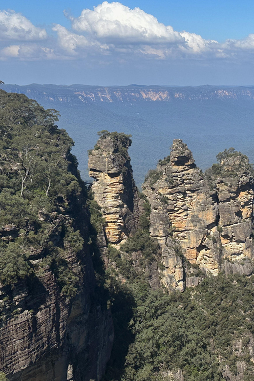 Blue Mountains: Scenic World, Ferry, Zoo & Koala Photo