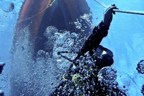 Teneriffa: Entdeckungsreise Tauchen, PADITeneriffa: 4-Stunden-Tauchgang Entdeckungsreise