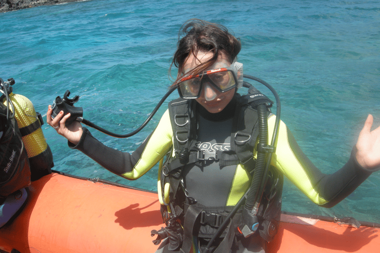 Teneriffa: Entdeckungsreise Tauchen, PADITeneriffa: 4-Stunden-Tauchgang Entdeckungsreise