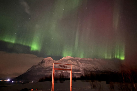 Tromsø: Sami-Kultur &amp; Joik-Erlebnis mit Mittagessen