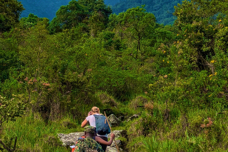 1-Day Gorilla Trekking at Bwindi National Park