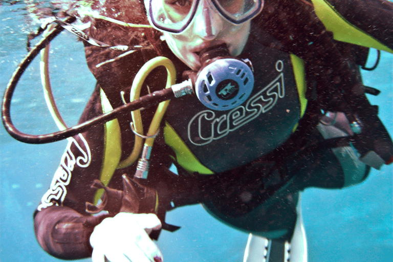 Teneriffa: Entdeckungsreise Tauchen, PADITeneriffa: 4-Stunden-Tauchgang Entdeckungsreise