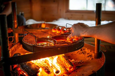 Rovaniemi: Northern Lights Tour with Finnhorses Sleigh Ride