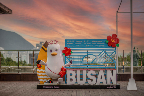 Busan night yacht tour with local food & romantic city views