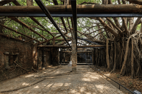 From Kaohsiung: Private Tainan Historical Highlights Tour