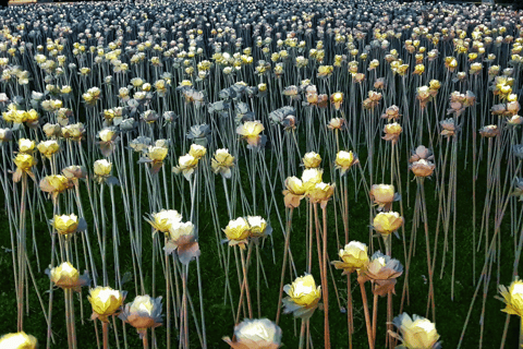 Best Seller Cebu City Group Tour