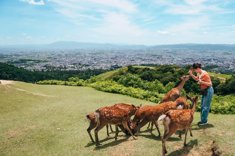 Vanuit Nara: Halve dag bustour naar UNESCO erfgoed&amp;Mt. Wakakusa12:35 Kintetsu Nara Station