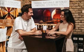Vienna: Wine Tasting Experience in a Private Wine Cellar
