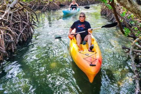 Zanzibar: Stone Town Visit & Kayak Tour in Mangrove Forest
