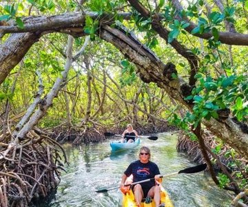 Zanzíbar: Visita a Stone Town y excursión en kayak por el bosque de manglares