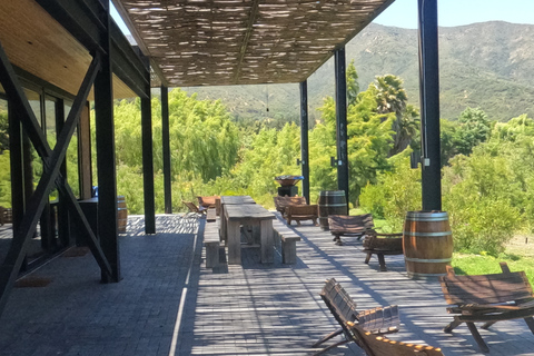 Curacaví Valley: Private Wine Tour of Viña Lopez Pangue and El Cuadro Curacaví Valley: Private Wine Route Tour - Viña Lopez Pangue and El Cuadro