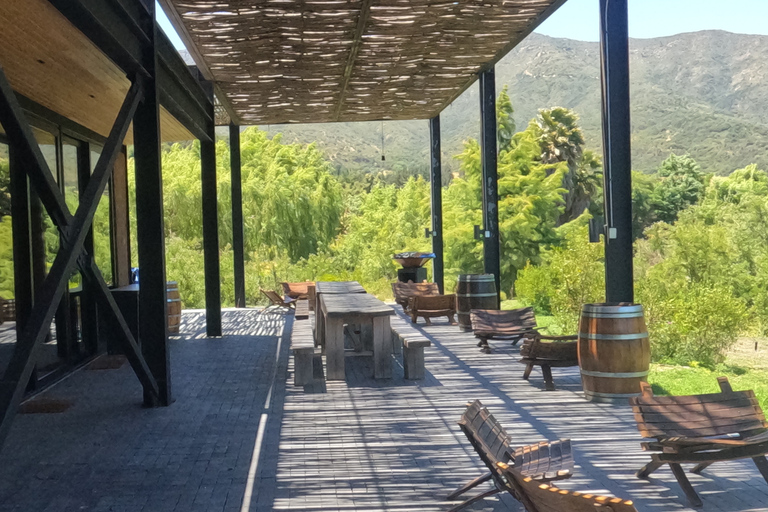 Curacaví Valley: Private Wine Tour of Viña Lopez Pangue and El Cuadro Curacaví Valley: Private Wine Route Tour - Viña Lopez Pangue and El Cuadro