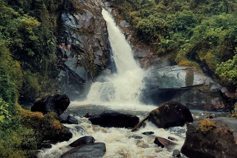 CAMINHO DO OURO - Geführte Tour durch den Atlantischen Wald, Wasserfälle und Geschichten.