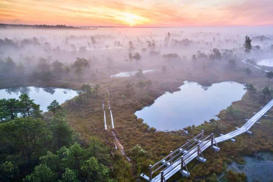 Riga: Sonnenaufgangstour in Ķemeri mit Frühstück (Gruppe oder privat). Foto: GetYourGuide