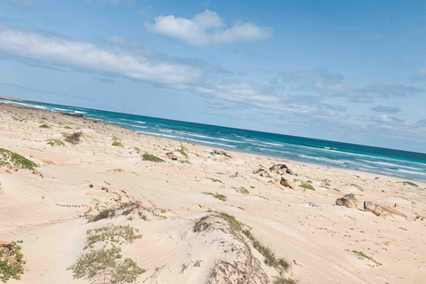 Wyspa Boa Vista: Całodniowe odkrywanie z północy na południeCałodniowa wycieczka po wyspie Boa Vista