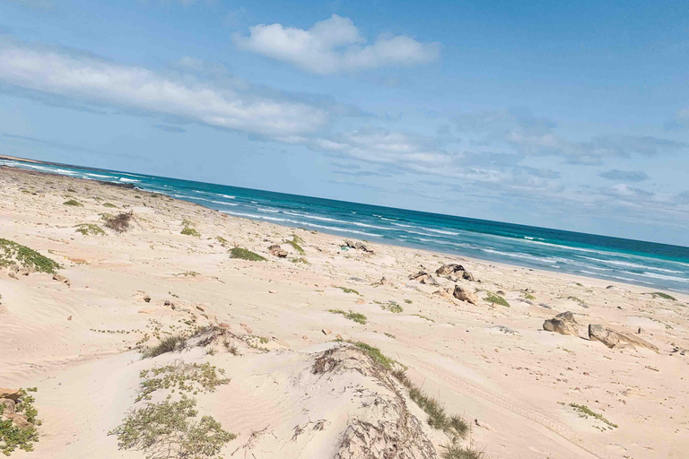 Wyspa Boa Vista: Całodniowe odkrywanie z północy na południeCałodniowa wycieczka po wyspie Boa Vista