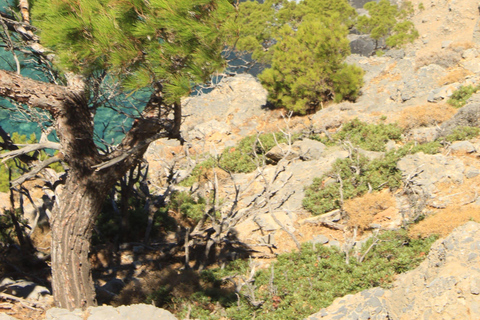 Asterousia Hidden South Crete Secret Beaches, & Villages Discover South Crete Kapetaniana - Agios Ioannis Beach