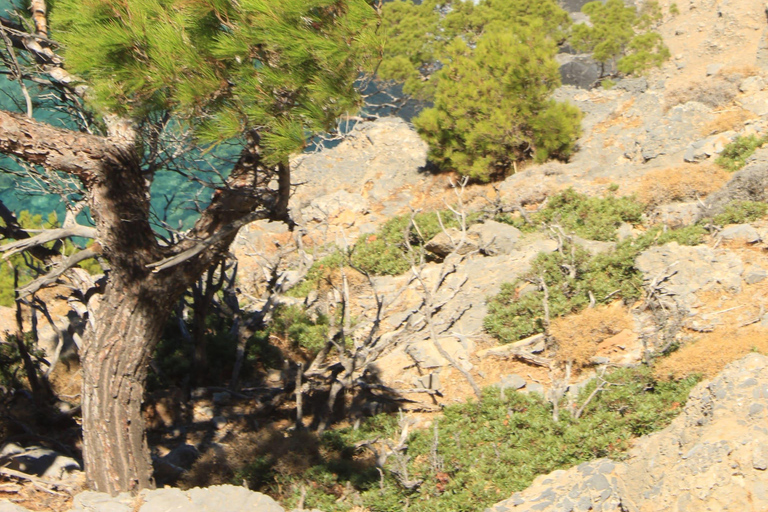 Asterousia Hidden South Crete Secret Beaches, & Villages Discover South Crete Kapetaniana - Agios Ioannis Beach