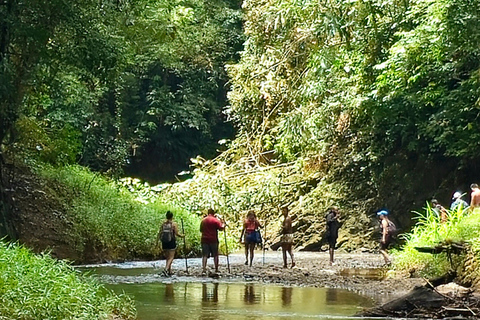 Panama: The Chagres Rainforest Experience Tour in english