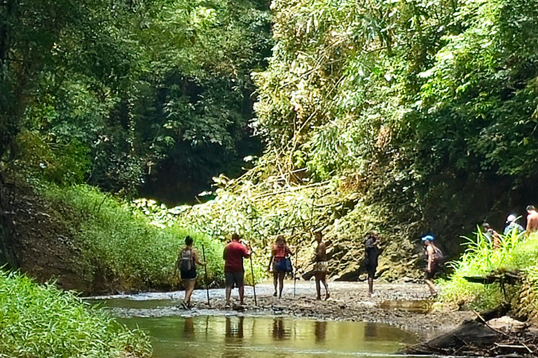 Panama: The Chagres Rainforest Experience Tour in english