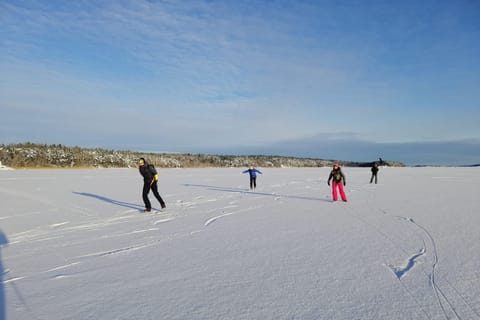 Stockholm Nordic Ice Skating with Campfire Lunch, Beginners