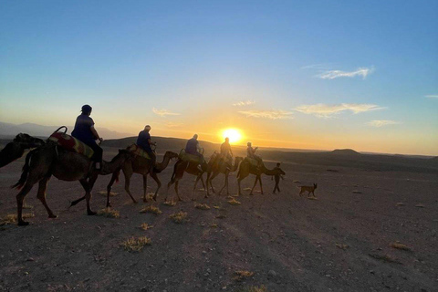 Deserto di Marrakech: Cena spettacolo al tramonto nel deserto di Agafay