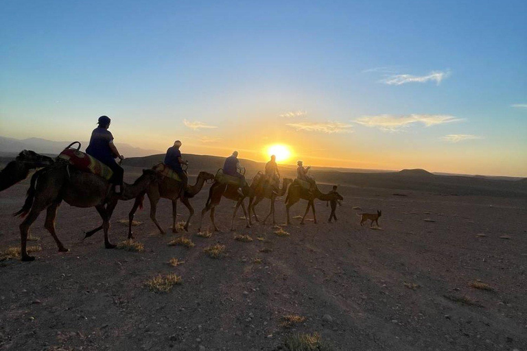 Dinner-Show bei Sonnenuntergang und Kamelritt in der Agafay-Wüste