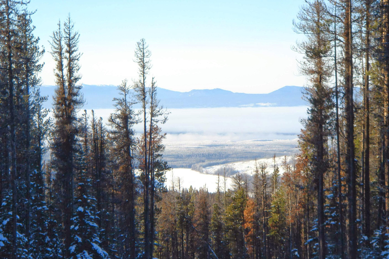 Khuvsgul Lake & Tsaatan Reindeer Herders Tour