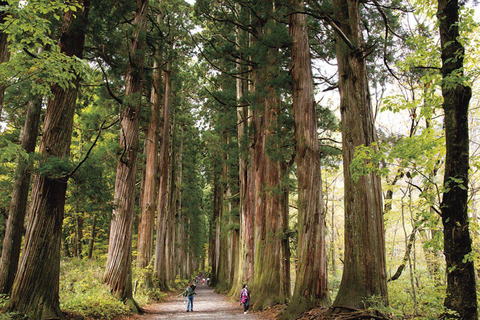 Private Nagano Luxury Cultural & Nature Day Tour from Tokyo