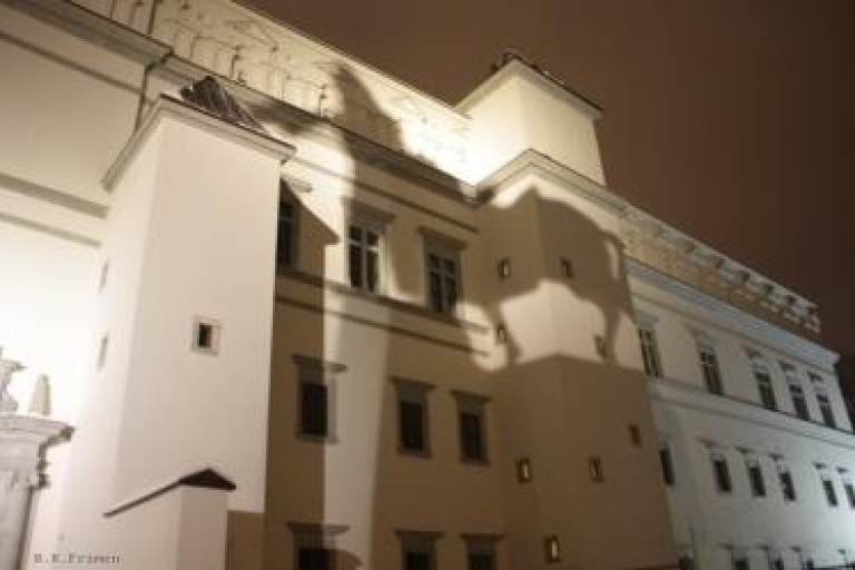 Vilnius: stadswandeling wandeltocht2 uur wandeltocht door Vilnius stad