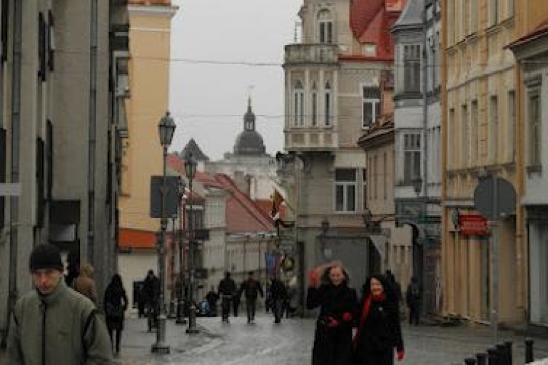 Vilna: recorrido a pie por lo más destacado de la ciudadTour a pie por la ciudad de Vilnius de 2 horas