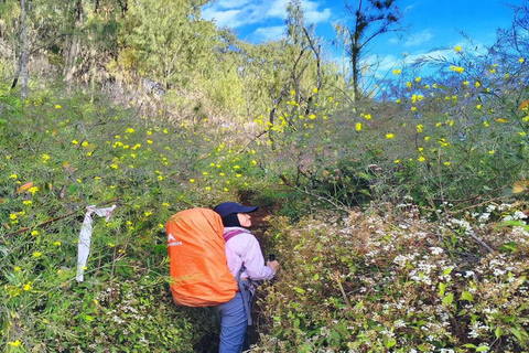 Yogyakarta: Mount Lawu 3-Day Trekking and Camping Tour