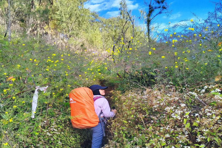 Yogyakarta: Mount Lawu 3-Day Trekking and Camping Tour