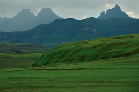 Tour del Patrimonio Mundial de DrakensbergOpción estándar