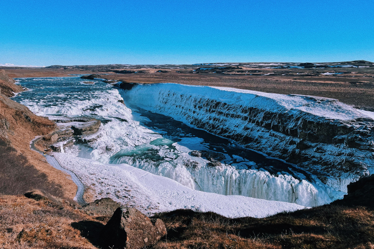 Från Reykjavík: Dagstur Gyllene Cirkeln, Friðheimar &amp; Lagunen