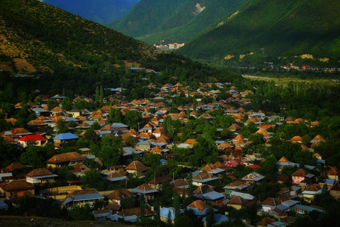 Azerbaijan Gabala Tulip Fields - Cable Car + Alpaca Farm